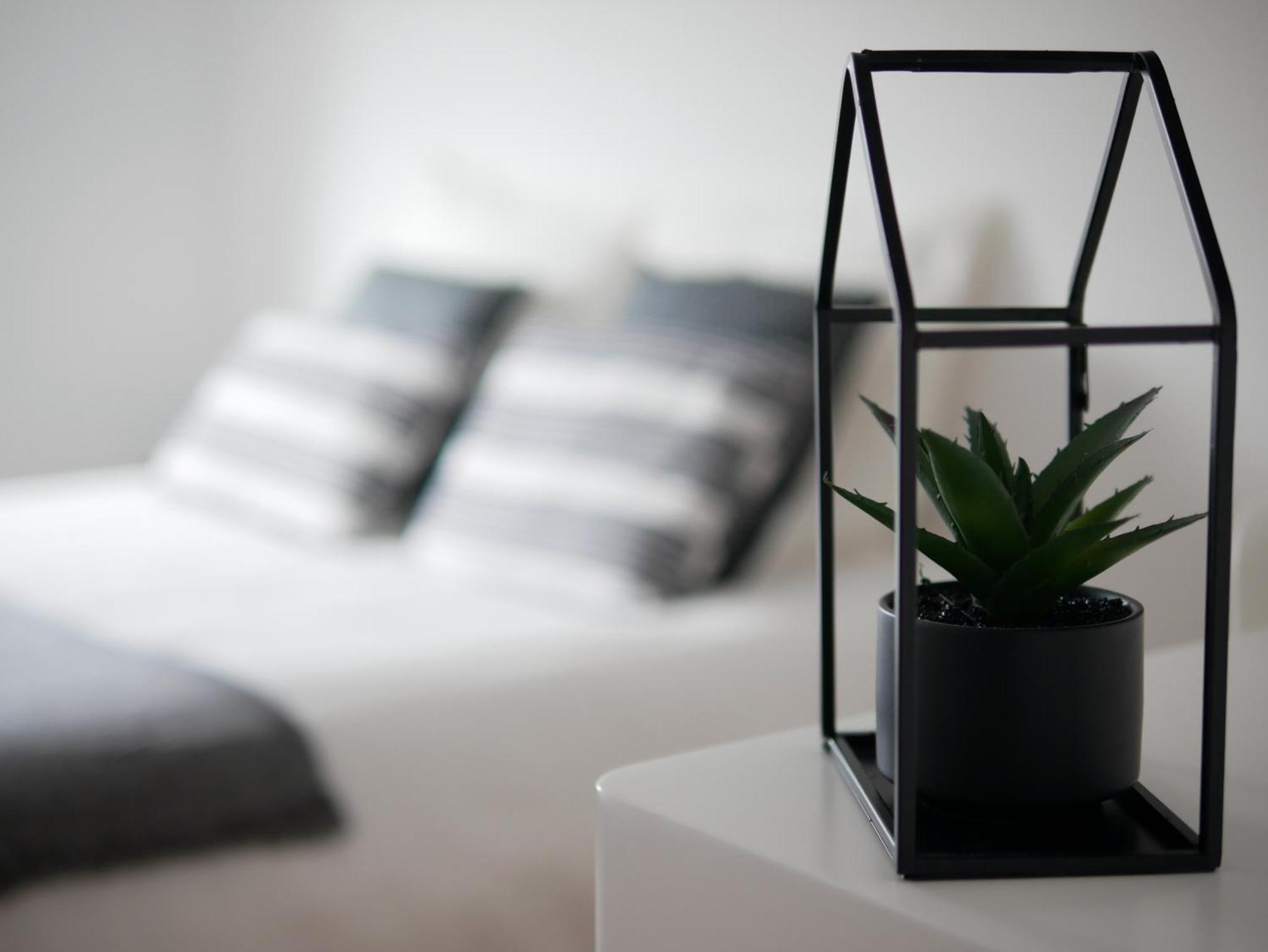 Experience Malouine - Appt T3-Coeur De Malo-Plage Dunkirk Ngoại thất bức ảnh